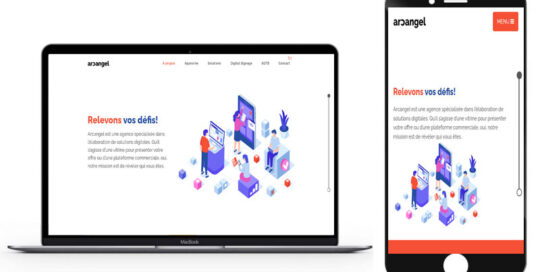 site vitrine professionnel.